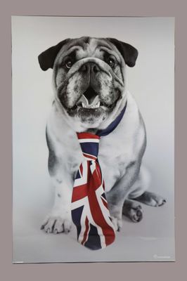 tableau représentant un carlin portant autour du cou une cravate aux couleurs du drapeau britannique