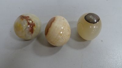 trois types d'œufs différents posés sur une surface blanche