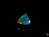 an oplite in the dark with a black background