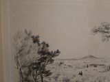 a black and white drawing of a landscape with trees