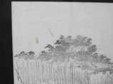 a picture of a drawing of a field with a house in the background