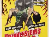 La fille de Frankenstein - Affiche de cinéma 27 x 40 - Modèle A
