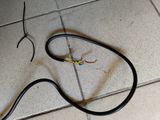 a snake that is laying on the floor next to a wire