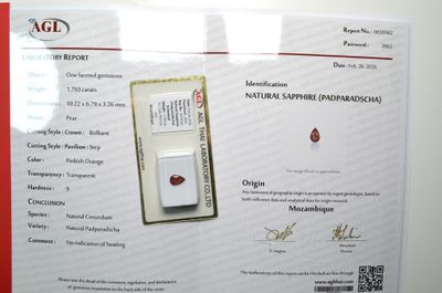 une photo d'un certificat sur lequel figure un losange rouge