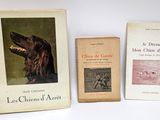three books sitting on a white surface with a dog in the background