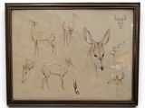 drawing of a deer, antelope, and other animals in a brown frame