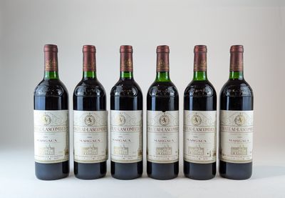 six bouteilles de vin sont alignées sur une surface blanche