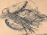 un dessin représentant un poisson sur une feuille de papier