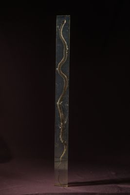 une sculpture noire et dorée sur laquelle est représenté un serpent
