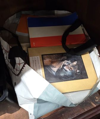 un sac rempli de livres et un sac avec une image dessus
