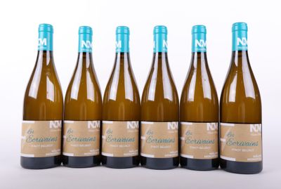 six bottles of wine are lined up in a row on a white surface