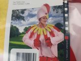 a picture of a woman in a costume that is on display