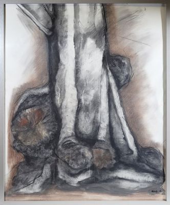 an image of a drawing of a tree in a frame on a wall