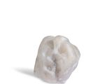 an image of a tooth that is missing a toothbrush