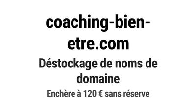 Nom de domaine coaching-bien-etre.