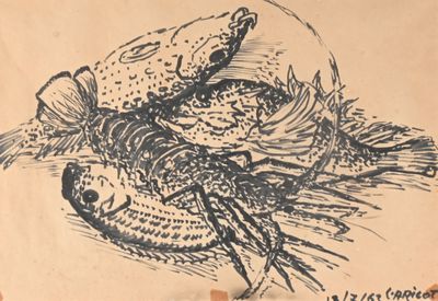a drawing of a fish on a piece of paper