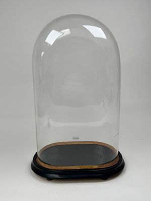 une image représentant un dôme en verre reposant sur un socle en bois, sur fond blanc
