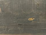 a close up of a piece of wood with a small insect on it