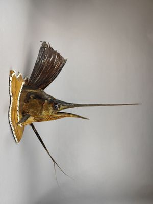 une sculpture représentant un poisson posé sur un morceau de bois