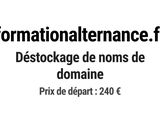 Photo 1/1 du lot