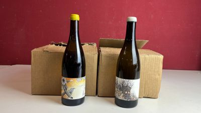 deux bouteilles de vin posées l'une à côté de l'autre sur une table