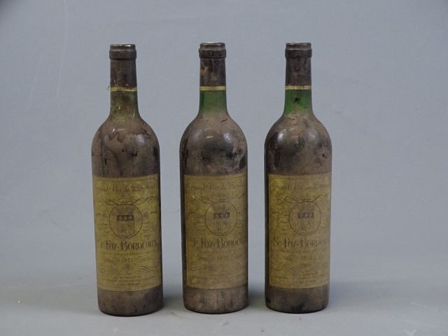 SAINTE FOY BORDEAUX, MEB par la SICA producteurs des côtes des Le...