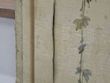 a plant that is growing on the side of a wall