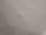 a close up of a white plate on a table