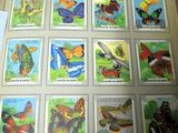 une photo d'une photo d'un livre contenant des images de papillons