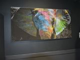 a picture of an elephant that is painted on the wall
