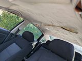 a dog sitting in the back seat of a car
