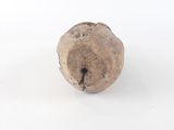 a small piece of wood that is sitting on a white surface