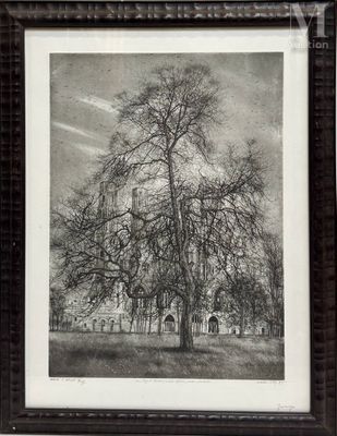 une photo en noir et blanc d'un arbre devant un immeuble