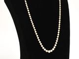 un collier de perles blanches sur un mannequin noir, devant un fond blanc