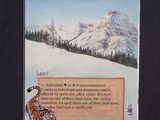 a card with a picture of a tiger in the snow