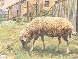 a painting of a sheep eating grass in a field