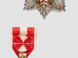 two medals and a star on a white background