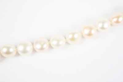 gros plan d'un collier de perles blanches sur une surface blanche