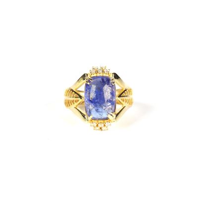 un gros plan d'une bague avec un tan tan tan tan tan tan tan tan tan tan tan tan tan