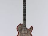 a close up of a guitar on a white background