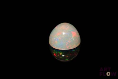 l'image d'un oplite blanc dans l'obscurité