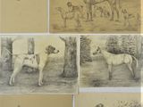several drawings of horses and dogs in a field with a man sitting on a horse