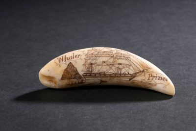 une dent de baleine sur laquelle est dessiné un bateau