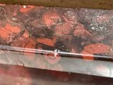 a close up of a container filled with food