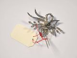 a spider brooch with a price tag attached to it