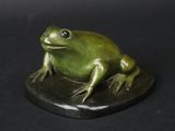 une grenouille verte assise sur un rocher, sur fond noir