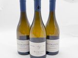 trois bouteilles de vin blanc posées l'une à côté de l'autre sur une surface blanche