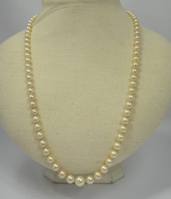 a close up of a necklace with pearls on a mannequin
