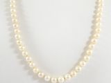 Photo 1/5 du lot