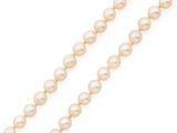 un rang de perles sur fond blanc
